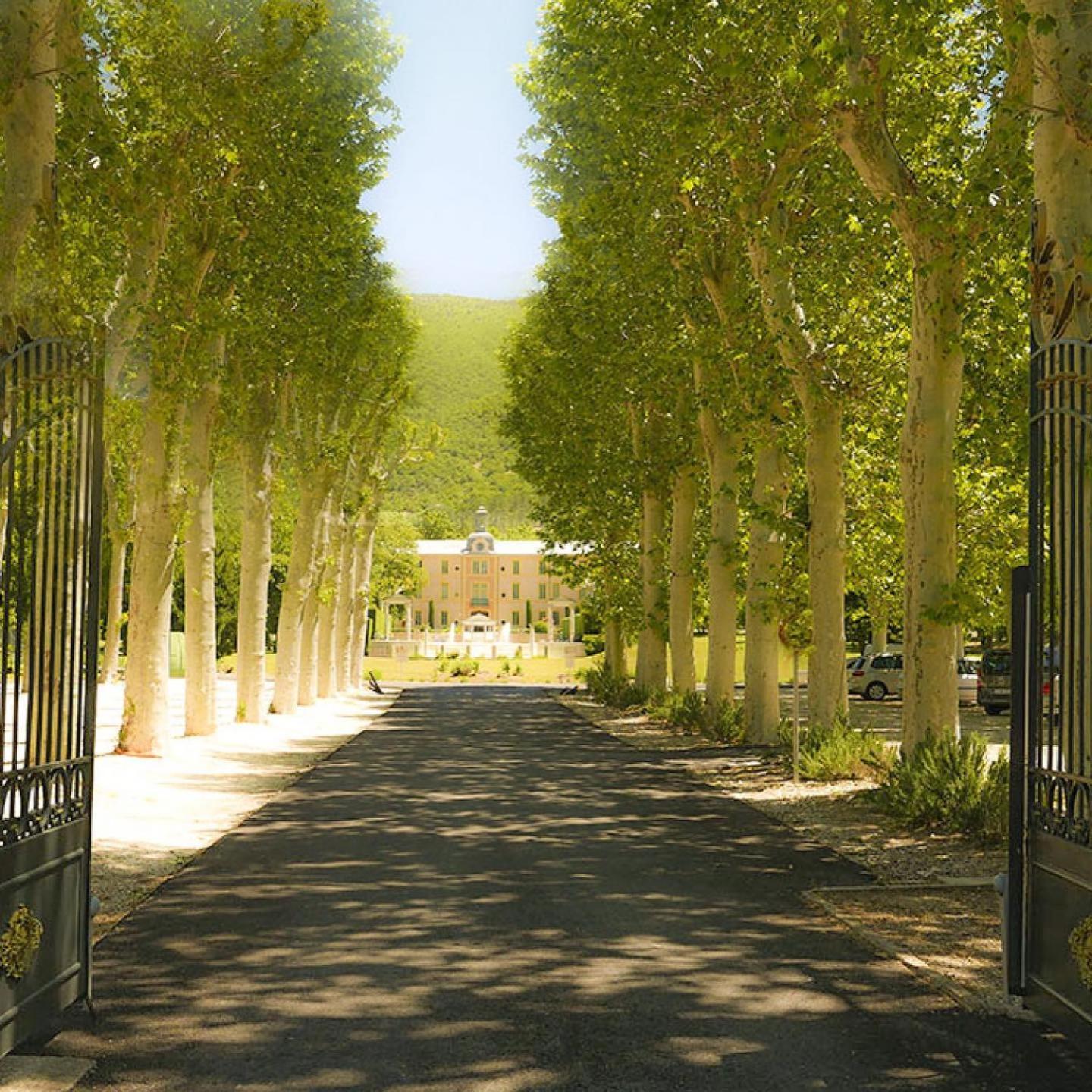 Chateau Des Gipieres Bij De Mont Ventoux Montbrun-les-Bains Zewnętrze zdjęcie