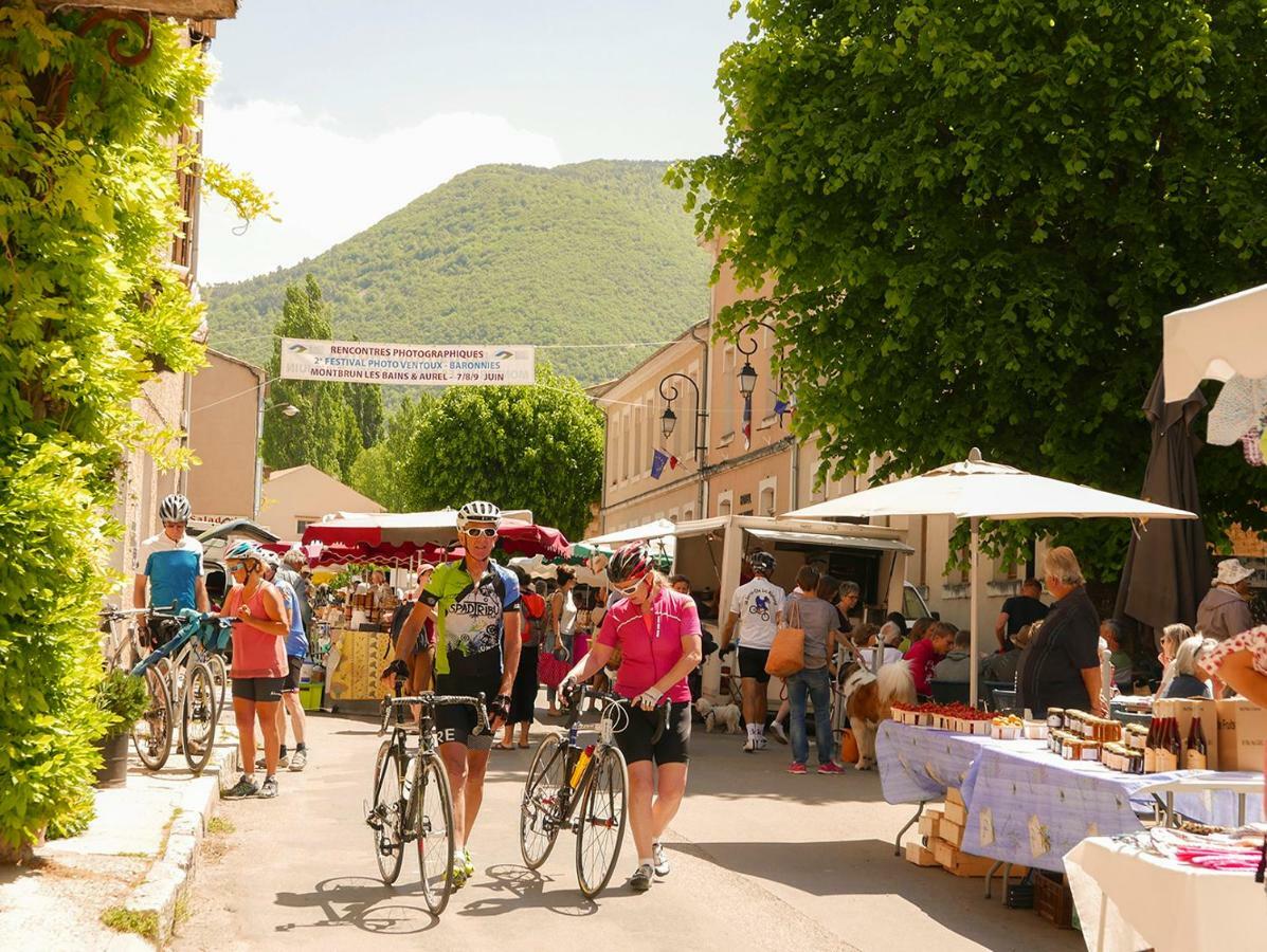 Chateau Des Gipieres Bij De Mont Ventoux Montbrun-les-Bains Zewnętrze zdjęcie