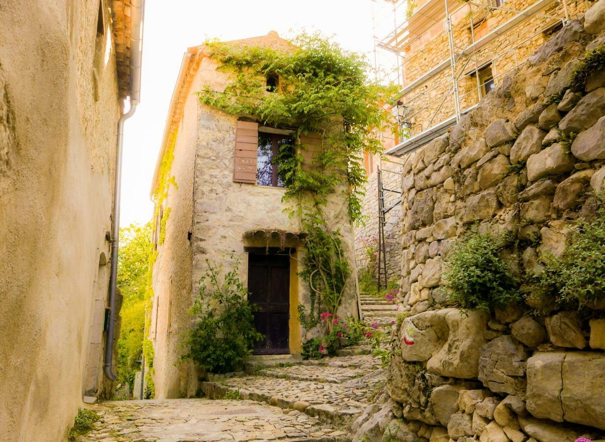 Chateau Des Gipieres Bij De Mont Ventoux Montbrun-les-Bains Zewnętrze zdjęcie